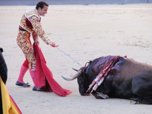 Catalunya deixarà de ser taurina el gener de 2012