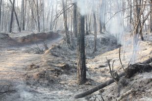 Controlat definitivament l'incendi de Vilopriu