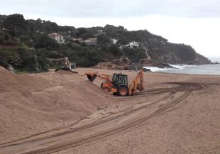 Transporten 1.500 metres cúbics de sorra de la platja de sa Riera de Begur a Llafranc i Tamariu