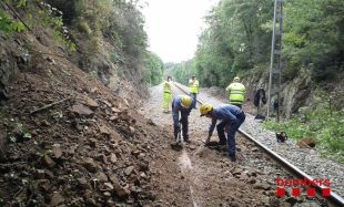Restablerta la circulació de trens entre Blanes i Maçanet per un arbre caigut a la via