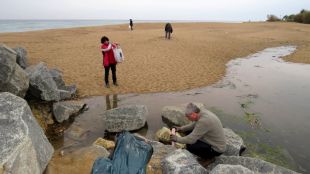 Recullen 20 quilos de residus a la platja de S'Abanell i la punta de la Tordera