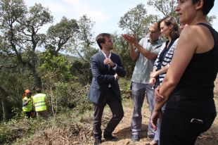 Netegen el sotabosc i fan aclarides a 70 hectàrees del massís de l'Ardenya-Cadiretes