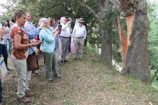 Organitzen viatges de turisme surer a Les Gavarres amb nord-americans