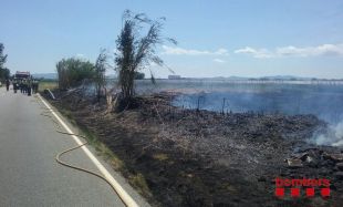 Cremen 2,5 hectàrees de vegetació agrícola en un incendi a la Tallada d’Empordà