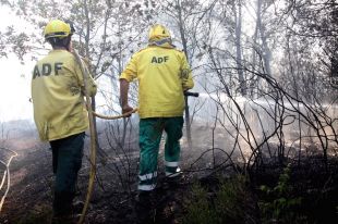 Les ADF afegeixen llenya al foc i demanen respecte per part dels Bombers