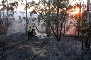Els Bombers donen per controlat l'incendi forestal de Blanes