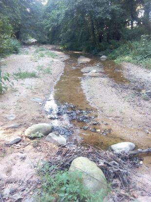Els pous d'aigua a Santa Coloma de Farners assoleixen nivells preocupants d'escassetat