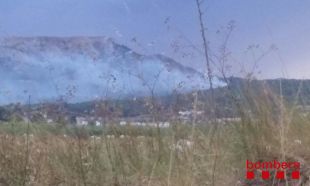 Un incendi afecta la zona de les Dunes de Torroella de Montgrí 