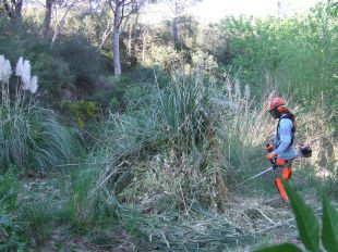 Finalitzen els treballs de prevenció d’incendis i conservació de l’entorn a les Gavarres