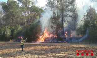 Estabilitzat l'incendi forestal de Saus que ha cremat 86 hectàrees de conreu i arbrat