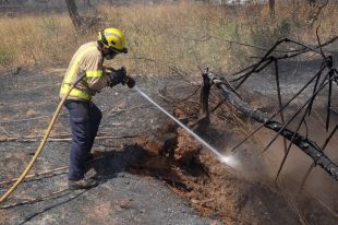 Determinen que el foc que ha calcinat 76 hectàrees entre Camallera i Vilopriu és intencionat