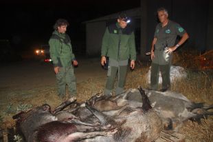 Els ecologistes critiquen el ''xantatge'' dels caçadors gironins i demanen més control i limitacions