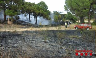 Un incendi forestal calcina mitja hectàrea a Sant Feliu de Guíxols