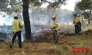 Els Bombers donen per extingit l’incendi de Sant Feliu de Guíxols, que ha cremat mitja hectàrea