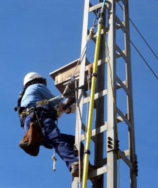 Endesa instal·la vuit caixes niu als Aiguamolls de l'Empordà