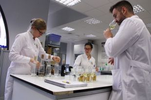 El suro, possible nou absorbent de productes contaminants en aigües residuals