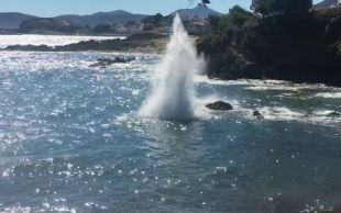Fan esclatar dos projectils de la Guerra Civil submergits a la cala l'Alguer de Llançà