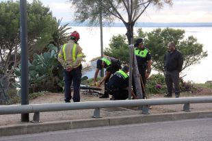 El jutjat deixa en llibertat provisional el conductor drogat que va matar al ciclista a Roses