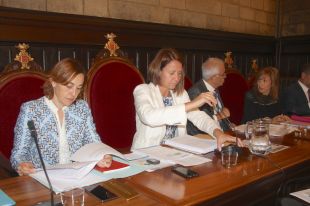 Madrenas reitera al ple de Girona el compromís de posar 2 MEUR al Parc Científic i critica el paper de l'Estat