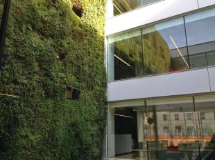 Mor en caure mentre feia tasques de manteniment al jardí vertical de la biblioteca de Girona