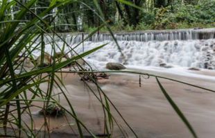 Santa Coloma de Farners demanarà que es protegeixin els espais d''interès natural