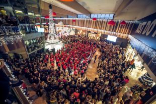 Gran Jonquera dóna el tret de sortida a la campanya de Nadal