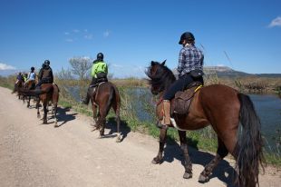 El Parc del Montgrí, Medes i Baix Ter vol ser referent del turisme sostenible