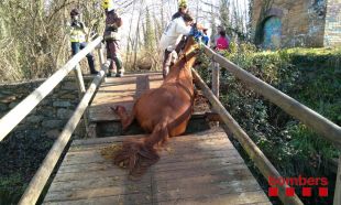 Rescaten un cavall que havia quedat atrapat en trencar-se la base d'un pont a Bescanó