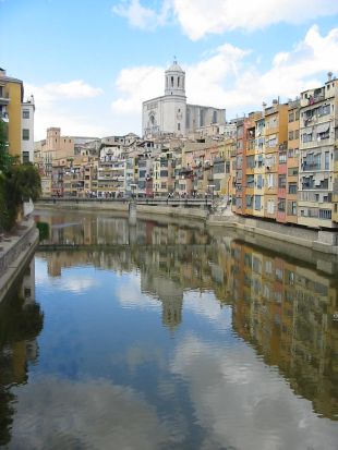 L’Associació de Naturalistes de Girona identifica un estat ecològic ''deficient'' al riu Onyar
