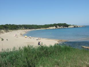 L'Escala tindrà una platja apte per a gossos