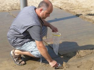 Un 16% de les platges de la demarcació de Girona tenen la sorra en mal estat