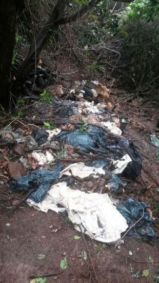 Troben mig centenar de gossos morts llençats en un bosc a Tossa