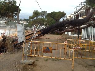 El fort vent i la pluja d'aquesta nit deixen sense llum i causen desperfectes a Palafrugell