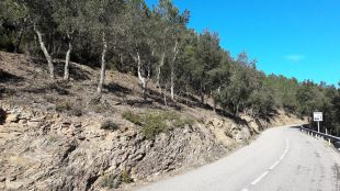 Creen una franja per a la prevenció d'incendis al llarg de la carretera dels Àngels