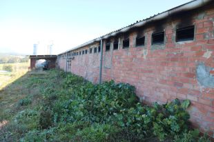 Moren 2.500 porcs en l'incendi d'una granja a Cornellà del Terri