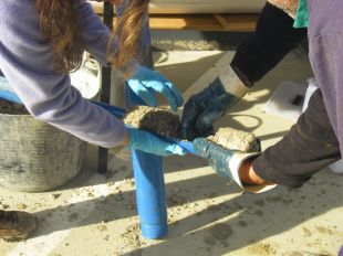 Cercant la manera de descontaminar les aigües subterrànies de Vilafant
