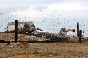 Els opositors a Vacamorta exigeixen a Territori que buidi tot l'abocador tal com mana el TSJC