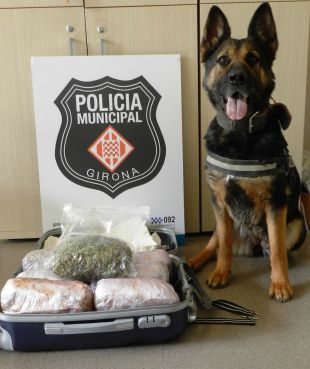 Detingut un home a l'estació de tren de Girona amb una maleta plena de marihuana