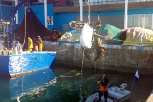 Recullen 8.000 quilos de deixalles del port de Palamós i 5.000 més al de Blanes