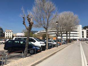 Tossa substitueix 11 arbres a primera línia de mar