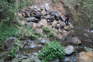 La neteja de la cinglera de Castellfollit de la Roca començarà la setmana vinent