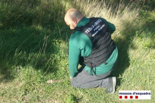 Els mossos desactiven una granada de la Guerra Civil trobada a tocar del riu a Biure 