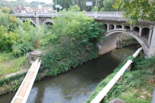 Troben un cadàver en avançat estat de descomposició prop del Ter a Girona