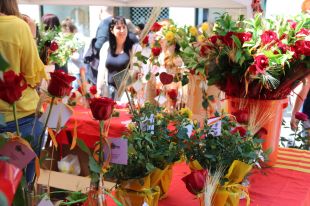 El preu de la rosa es dispara per als majoristes aquest Sant Jordi
