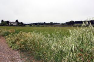 Bàscara impulsa el polígon industrial d'Orriols per eixugar part del deute que arrossega