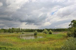 Organitzen una neteja popular de l'entorn de l'estany de Sils