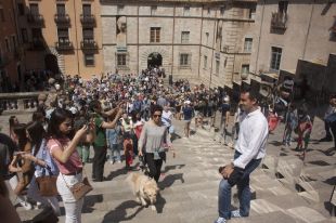 L'Ajuntament diu que el ''Girona, Temps de Flors'' tenia un 10% més de plantes que l'any passat