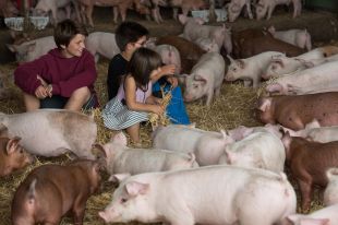 18.000 persones se'n van anar a pagès
