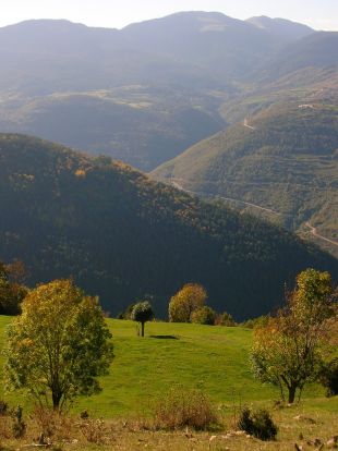 La Diputació de Girona aprova set noves reserves forestals per conservar la biodiversitat dels boscos