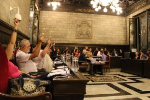 Cs de Girona recorre la decisió del ple de declarar el rei persona 'non grata'
